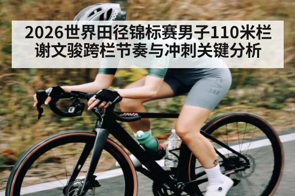 2026世界田径锦标赛男子110米栏谢文骏跨栏节奏与冲刺关键分析